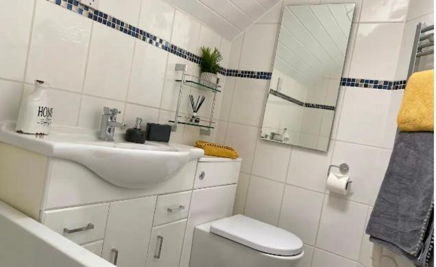 Cotswolds Lakeside Lodge - Nesbitt'S Nest South Cerney Extérieur photo